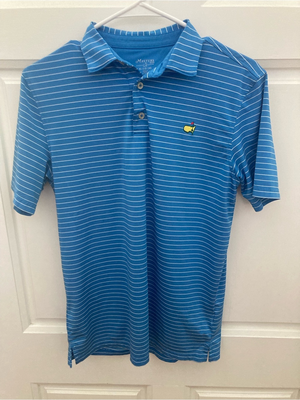 Masters Tech Kids' Blue Striped Polo with Embroidered Logo
